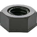 Plastic Hex Nuts - RENY